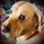 Nicole Kyle Girton's profile image
