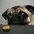 Ted Ruis's profile image