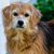 Kathie Ono's profile image