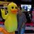 JoAnn Wilkerson's profile image