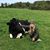 Robin Crehan's profile image