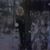 Dorothy Goodwin Schwartz's profile image