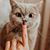 Esraa Yusuf's profile image