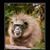 Alan Lee Hunter's profile image