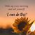 Pamela Burris's profile image