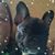Kathy Butler's profile image