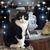 Shirley Schmehl's profile image