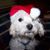 Kim Walker Smith's profile image