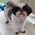 Kathy Angell Eavenson's profile image
