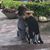 Amber Lane Wookey's profile image