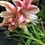 Dawn Weatherwax's profile image