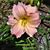 Cathern Padgett's profile image