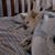 Elizabeth Hartman Smiley's profile image