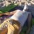 Brett Lucas's profile image