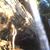 Piper Reaves-Free's profile image