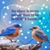 Linda Carroll's profile image