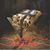 Lynda Gassman Weber's profile image