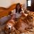 Lisa Ann D's profile image