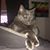 Jolyn Hannah's profile image