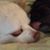 Ginavie Schumann's profile image