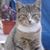 Linda Dunn's profile image