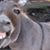 Krystal Liar Broussard's profile image