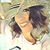 Lisa Lynn Gallagher's profile image