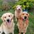 Karen Ligocki's profile image