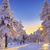 Susan Campbell's profile image