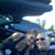 Shawn L Bergin's profile image
