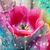 Kristina Lynch-Helton's profile image