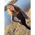 Shaina DiGiacomo's profile image