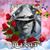Sylvia Zammit's profile image
