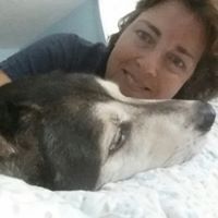 Rose Kishfy Amaral's profile image
