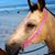 Linda Marcello Rainbolt's profile image