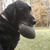 Kelli Hetser Bennett's profile image