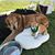 Reese Woodrow Railling's profile image