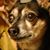 Darlene Appollonia's profile image