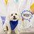 Mary Dobier-Soukup's profile image