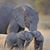 Wanda Hollister Mon Shirley's profile image