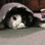 Mary Beth White's profile image
