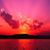 Diana Gomez Moyet's profile image