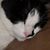 Beth Conrad Ratliff's profile image