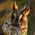 Alexis Williams's profile image