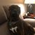 Brianne Hassett's profile image