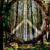 Carrie Lyphardt's profile image