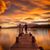 Dianne Coburn's profile image