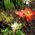 Terry Daugherty's profile image