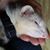 Kerri Hassler's profile image