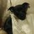 Krystina Ines Gonzalez's profile image